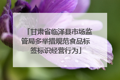 甘肃省临泽县市场监管局多举措规范食品标签标识经营行为