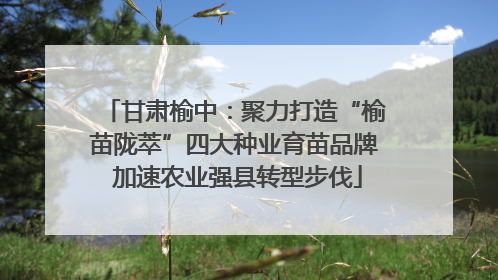 甘肃榆中：聚力打造“榆苗陇萃”四大种业育苗品牌 加速农业强县转型步伐