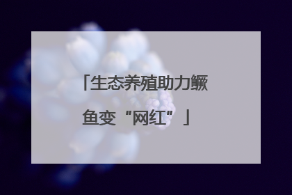 生态养殖助力鳜鱼变“网红”