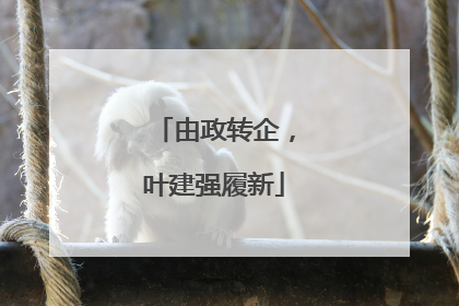 由政转企，叶建强履新