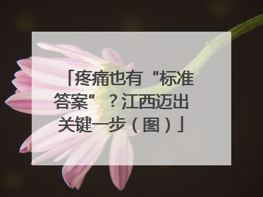 疼痛也有“标准答案”？江西迈出关键一步（图）