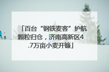 百台“钢铁麦客”护航颗粒归仓，济南高新区4.7万亩小麦开镰