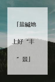 盐碱地上好“丰”景