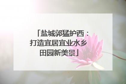 盐城郭猛护西：打造宜居宜业水乡田园新美景
