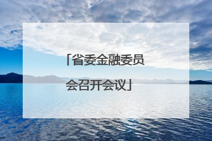 省委金融委员会召开会议
