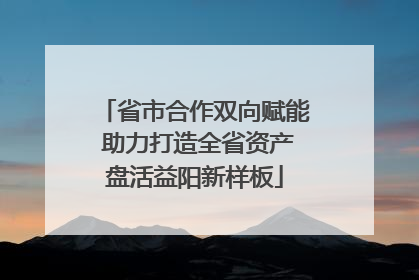 省市合作双向赋能 助力打造全省资产盘活益阳新样板