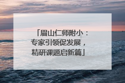 眉山仁师附小：专家引领促发展，精研课题启新篇