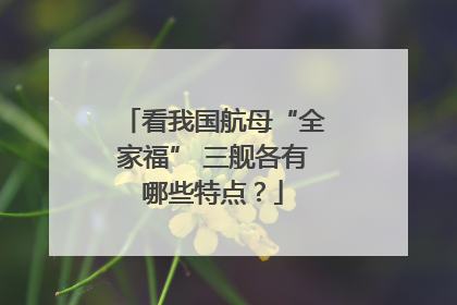 看我国航母“全家福” 三舰各有哪些特点？