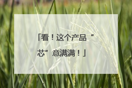 看！这个产品“芯”意满满！