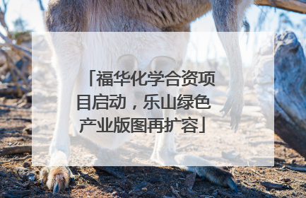 福华化学合资项目启动，乐山绿色产业版图再扩容