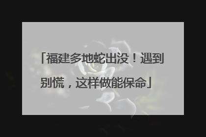 福建多地蛇出没！遇到别慌，这样做能保命