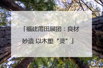 福建莆田展团：良材妙造 以木塑“灵”