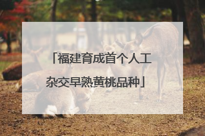 福建育成首个人工杂交早熟黄桃品种