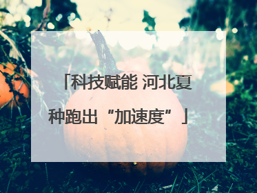 科技赋能 河北夏种跑出“加速度”