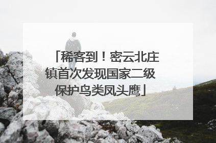 稀客到！密云北庄镇首次发现国家二级保护鸟类凤头鹰