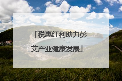 税惠红利助力彭艾产业健康发展