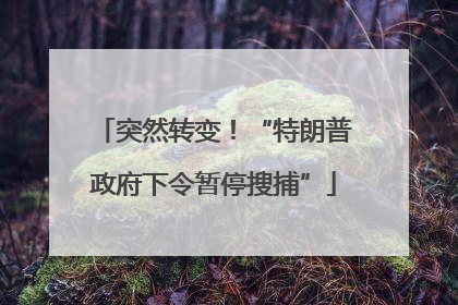 突然转变！“特朗普政府下令暂停搜捕”