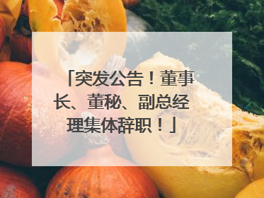 突发公告！董事长、董秘、副总经理集体辞职！