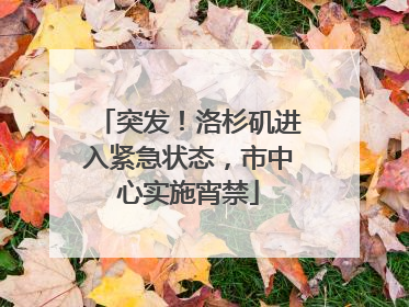 突发！洛杉矶进入紧急状态，市中心实施宵禁