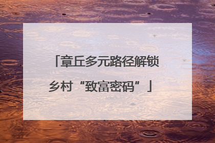 章丘多元路径解锁乡村“致富密码”