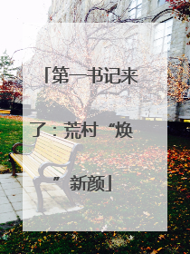 第一书记来了：荒村“焕”新颜
