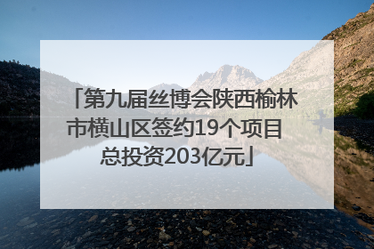 第九届丝博会陕西榆林市横山区签约19个项目 总投资203亿元