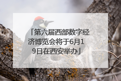 第六届西部数字经济博览会将于6月19日在西安举办