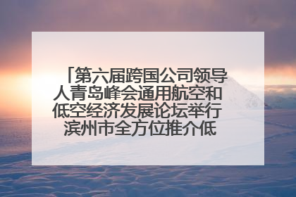 第六届跨国公司领导人青岛峰会通用航空和低空经济发展论坛举行 滨州市全方位推介低空经济发展优势