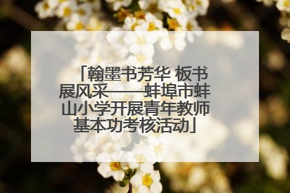 翰墨书芳华 板书展风采——蚌埠市蚌山小学开展青年教师基本功考核活动