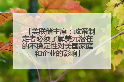 美联储主席：政策制定者必须了解美元潜在的不稳定性对美国家庭和企业的影响