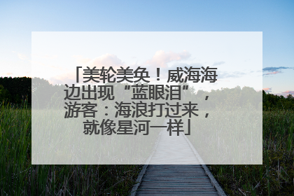 美轮美奂！威海海边出现“蓝眼泪”，游客：海浪打过来，就像星河一样
