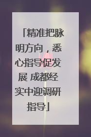 精准把脉明方向，悉心指导促发展 成都经实中迎调研指导