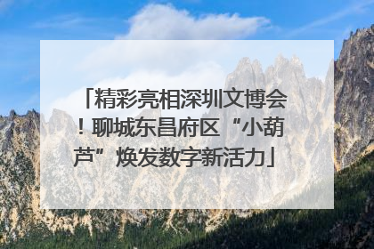 精彩亮相深圳文博会！聊城东昌府区“小葫芦”焕发数字新活力