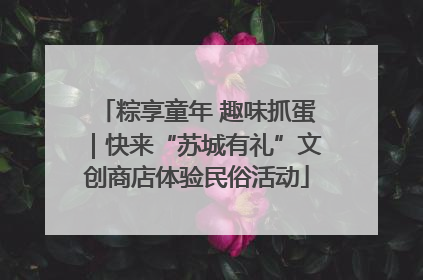 粽享童年 趣味抓蛋｜快来“苏城有礼”文创商店体验民俗活动