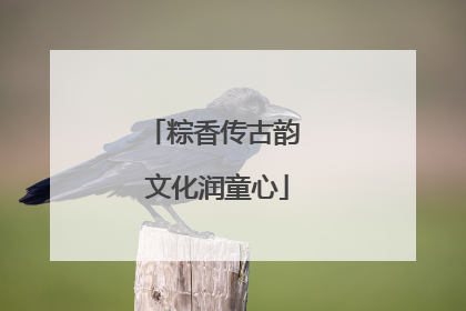 粽香传古韵 文化润童心