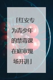 红安专为青少年的禁毒课在庭审现场开讲