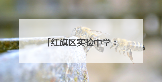 红旗区实验中学：文化节里过“六一” 社团展演秀风采