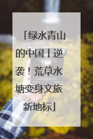 绿水青山的中国丨逆袭！荒草水塘变身文旅新地标