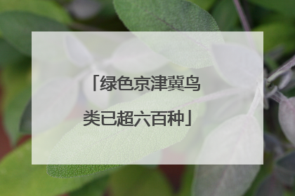 绿色京津冀鸟类已超六百种