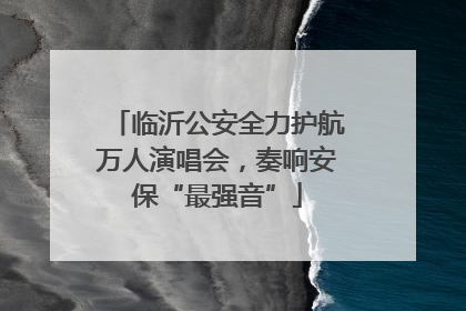临沂公安全力护航万人演唱会，奏响安保“最强音”
