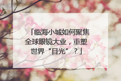 临海小城如何聚焦全球眼镜大业，重塑世界“目光”？