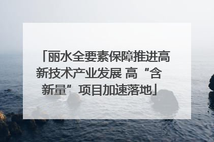 丽水全要素保障推进高新技术产业发展 高“含新量”项目加速落地