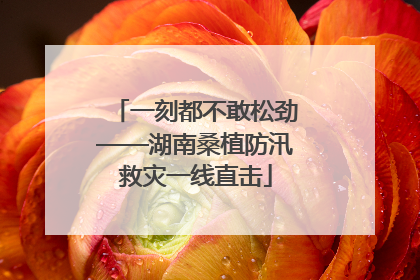 一刻都不敢松劲——湖南桑植防汛救灾一线直击