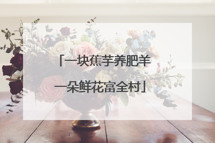 一块蕉芋养肥羊 一朵鲜花富全村