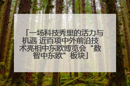 一场科技秀里的活力与机遇 近百项中外前沿技术亮相中东欧博览会“数智中东欧”板块