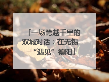 一场跨越千里的双城对话：在无锡“遇见”德阳