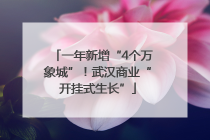 一年新增“4个万象城”！武汉商业“开挂式生长”