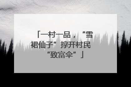 一村一品，“雪裙仙子”撑开村民“致富伞”