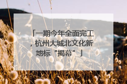 一期今年全面完工，杭州大城北文化新地标“揭幕”