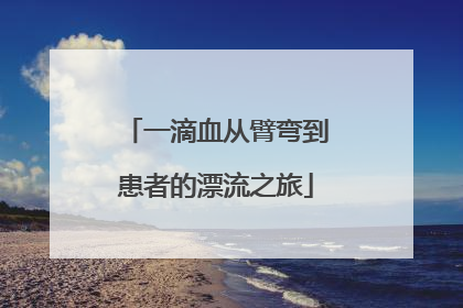 一滴血从臂弯到患者的漂流之旅